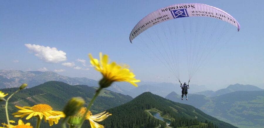 Mayrhofen: Paragliding Flight Experience Over Mountains - What the Mayrhofen Views Really Do to Your Brain