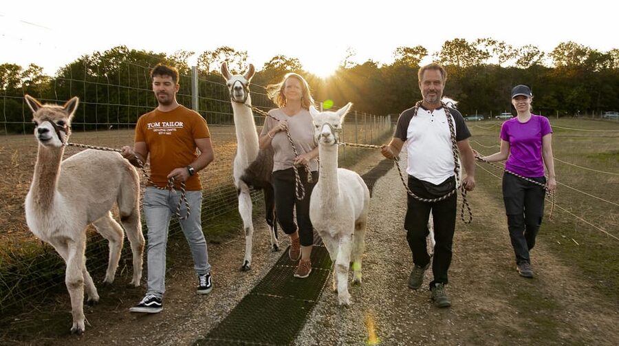 Mödling/Vienna: Scenic Guided Hike with Alpacas and Llamas - Key highlights worth planning around