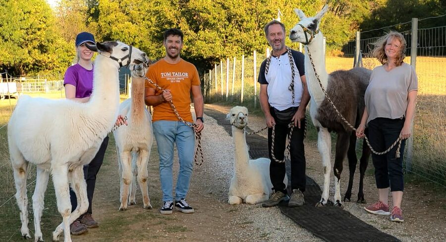 Mödling/Vienna: Scenic Guided Hike with Alpacas and Llamas - What to bring (and what trips people up)