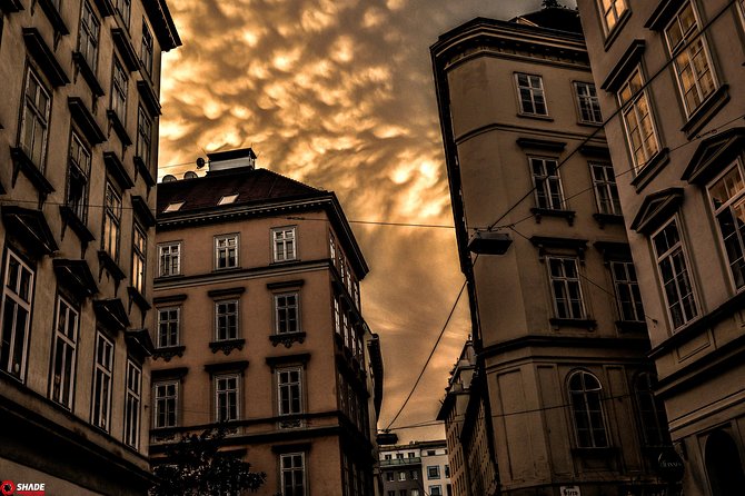 Mystery rally Vienna: The scary city - Should you book Mystery Rally Vienna: The Scary City?