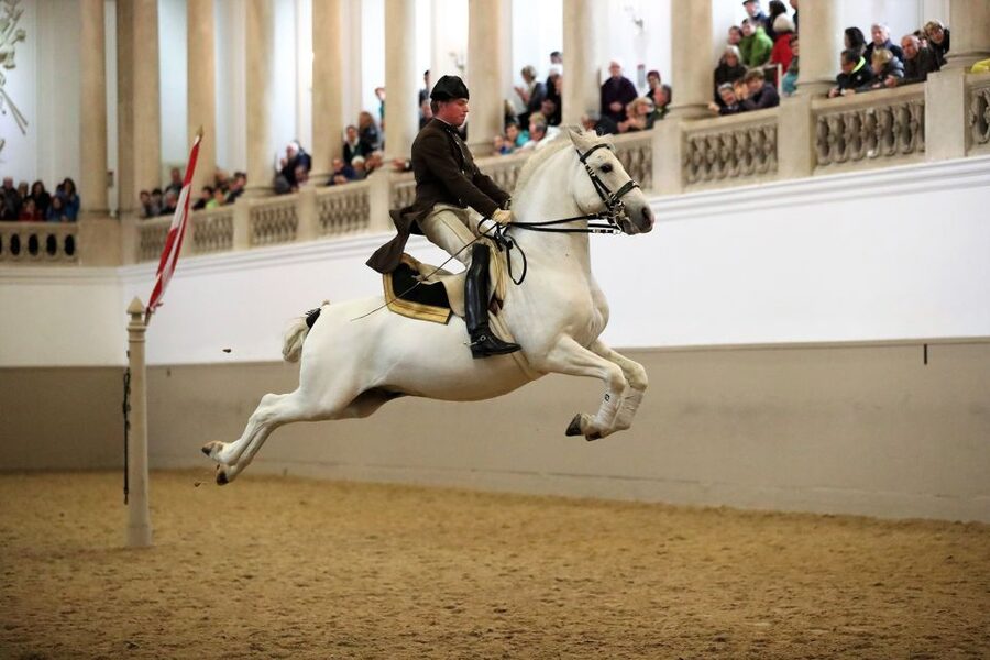 Performance Of The Lipizzans At Spanish Riding School - Meeting the Spanish Riding School Visitor Center, and getting your tickets in time