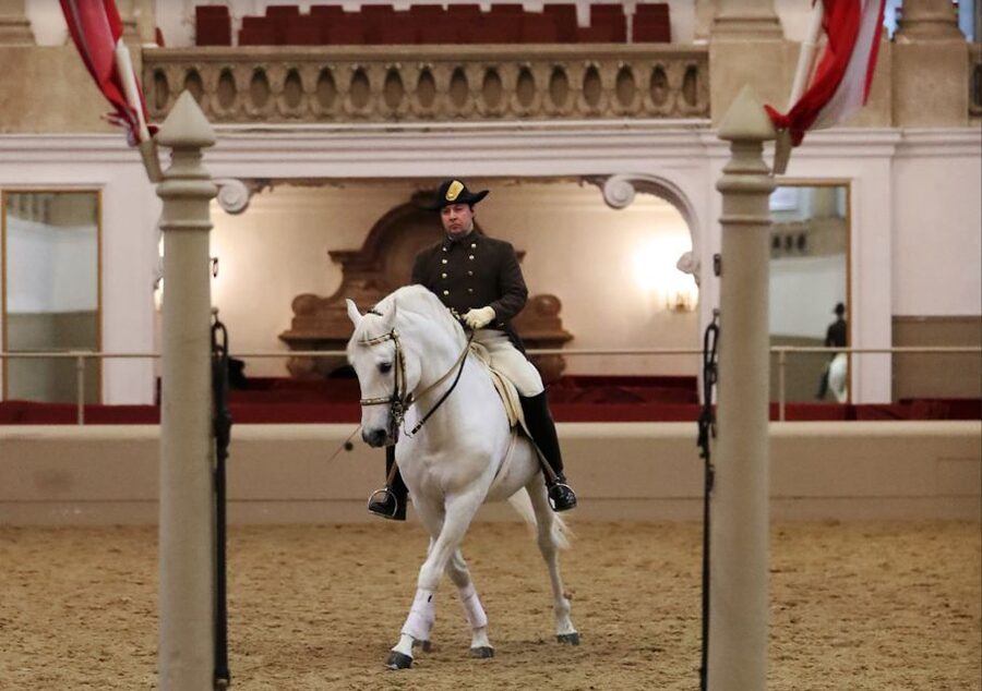 Performance Of The Lipizzans At Spanish Riding School - Rules that affect what you bring, and who can attend