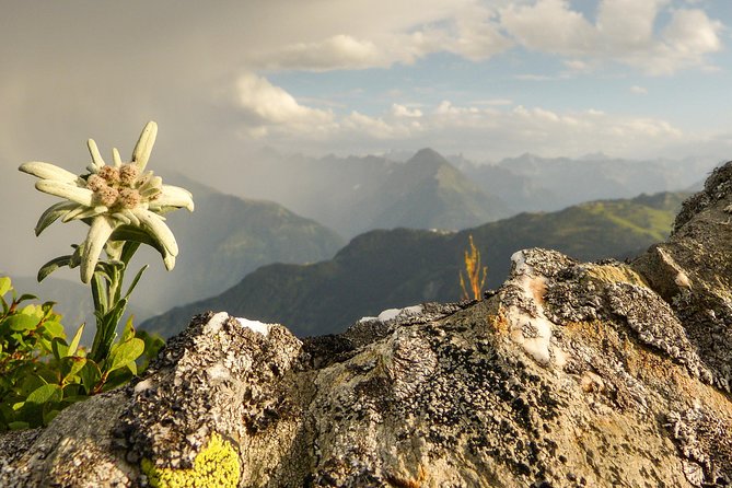 Private Eagle's Nest & The Hills are Alive - Driving south: Salzburg’s independence story on the way to the lakes