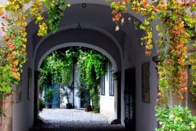 Private Hidden Vienna Walk – Stories Behind Quiet Corners