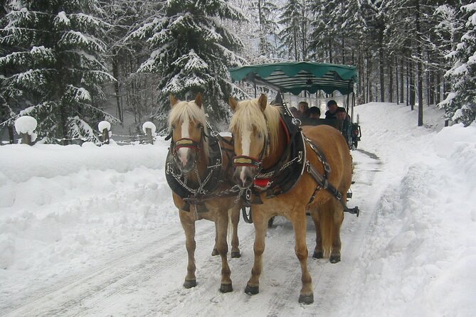 Private Horse-Drawn Sleigh Ride from Salzburg - Key points before you go