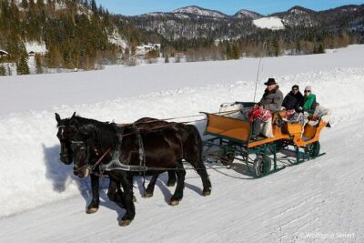Private Horse-Drawn Sleigh Ride from Salzburg