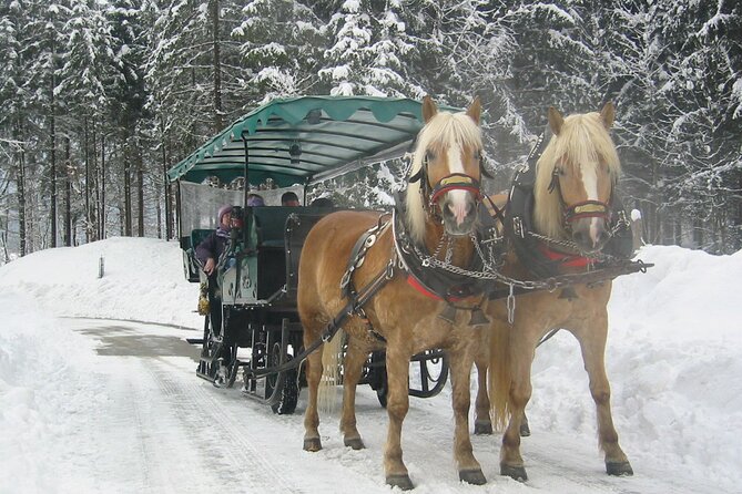 Private Horse-Drawn Sleigh Ride from Salzburg - Warm drinks and the cafe stop: plan your spending