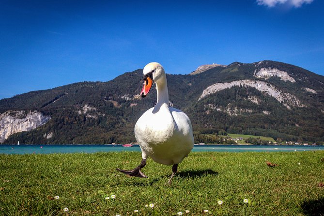 Private Lake District, St. Wolfgang and St. Gilgen Tour - A private day that actually works in the real world
