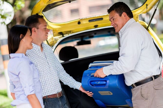 Private One-way Transfer Vienna Airport To Vienna - Getting From Vienna Airport to Your Hotel Without the First-Day Panic