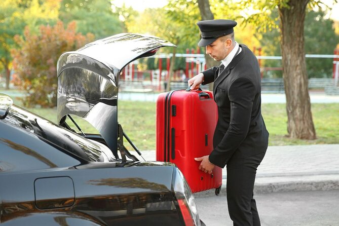 Private One-way Transfer Vienna Airport To Vienna - Who This Works Best For in Vienna