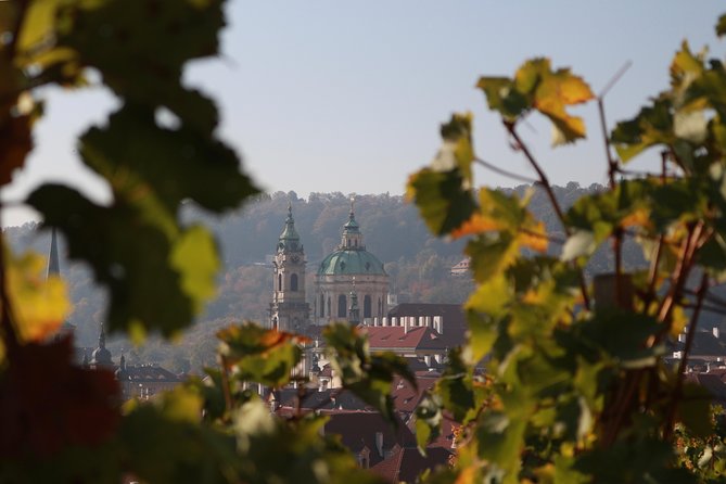 Private Scenic Transfer from Salzburg to Prague with 4h of Sightseeing - Who this Salzburg-to-Prague transfer is best for