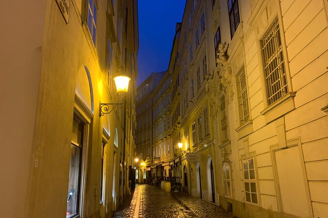 Private Spooky Vienna Ghost Tour - The guide can make or break this tour, and Lisa gets praised a lot