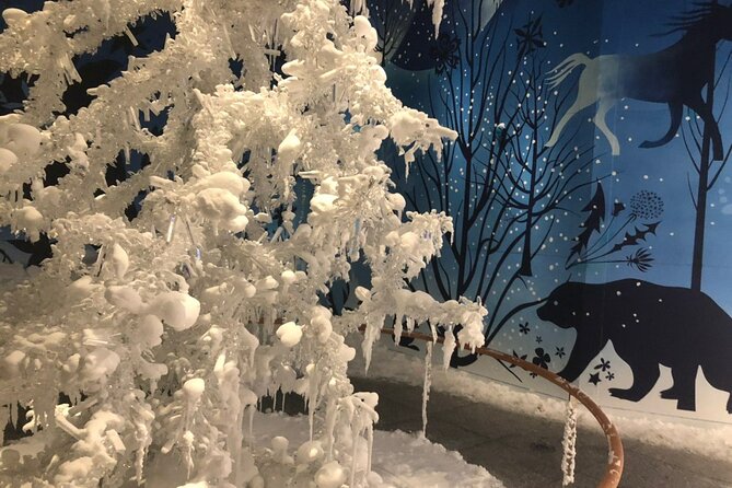 Private Tour of Swarovski Crystal World from Innsbruck - How to use your 2 to 3 hours like a pro