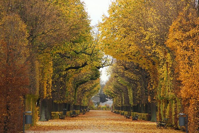 Private transfer from Salzburg to Vienna, 2 hours for sightseeing - Vehicle Comfort, Group Size Logic, and What You Can Expect On Board