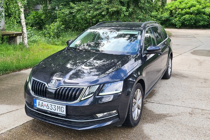 Private transfer from Vienna to Munich with sightseeing stop - Your sightseeing stop: flexible by design, so plan it smart