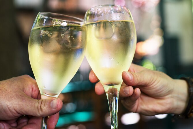 Private Vienna Wine Tour with Top Austrian Wines and Tapas - Key things to know before you go