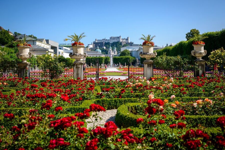 Salzburg: Hop-on Hop-off City Tour - Yellow Line stop by stop: what each one is good for
