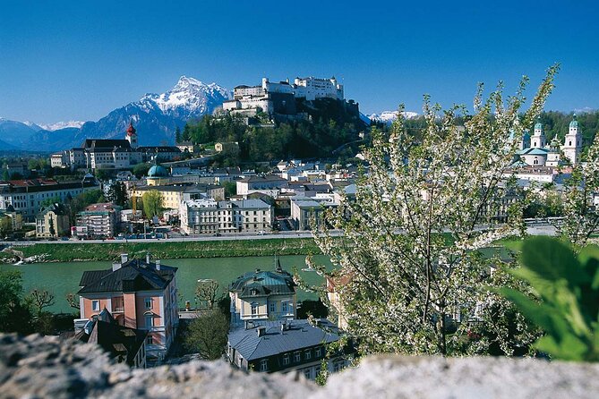 Salzburg On the Traces of Mozart Private Tour - Mozartplatz: quick photo stop, Mozart’s statue, and the widow link