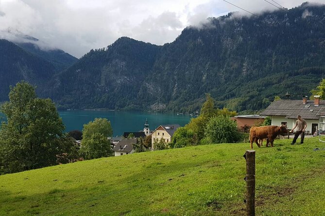 Salzburg Small-Group Day Trip from Vienna - The Price Question: Does $229.87 Feel Fair?