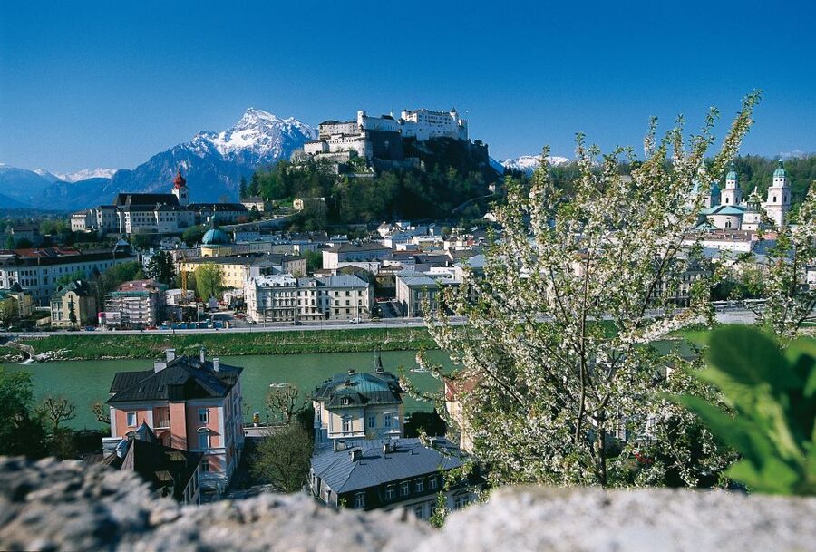 Salzburg: Sound of Music Private Half-Day Tour - How the guide turns scenes into a real story (and keeps it fun)