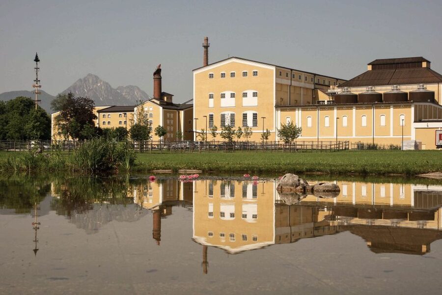 Salzburg: Stiegl Brewery Tour with Beer Tasting - The 270-degree cinema stop: a quick beer story with big visuals