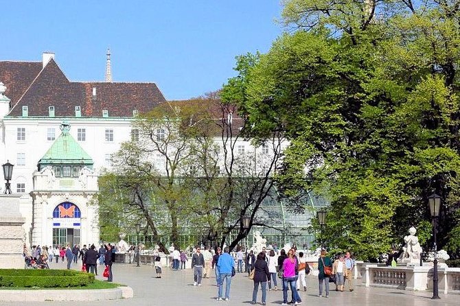 Schmetterlinghaus - Imperial Butterfly House Vienna Admission Ticket - What you’ll see: butterflies, waterfalls, and tropical plants in a small space