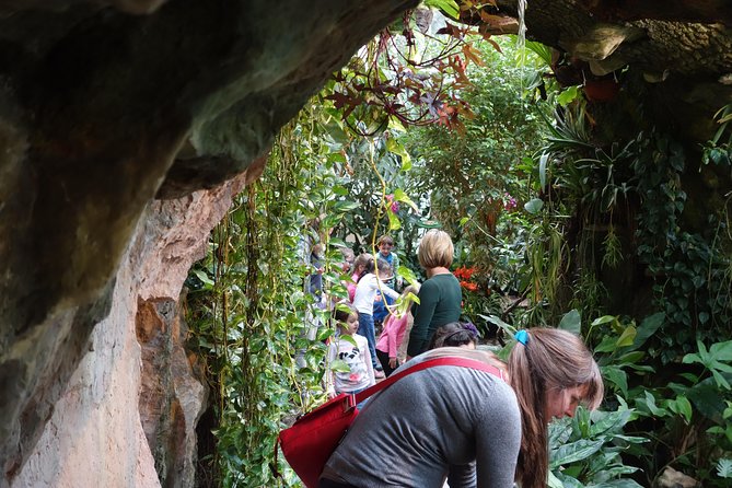 Schmetterlinghaus - Imperial Butterfly House Vienna Admission Ticket - Rain, winter, and in-between time: when this attraction fits your day