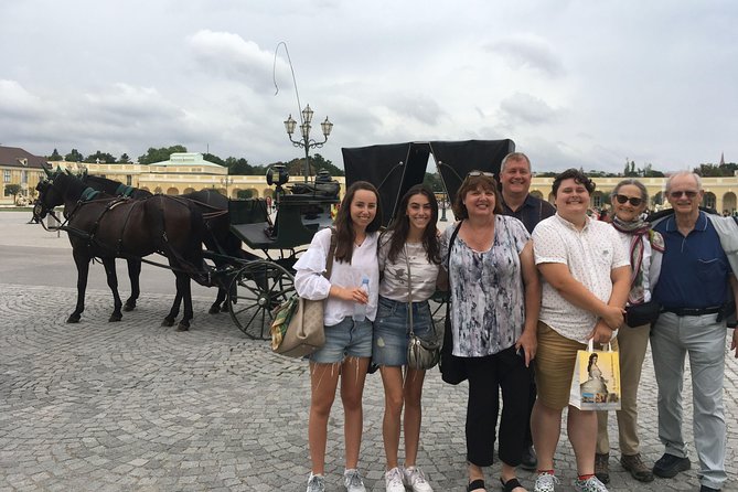 Schönbrunn Palace and Gardens Tour - Meeting point and the ticket reality inside Schönbrunn