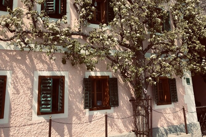 Self-Guided Private Tour of Hallstatt. Best photo-points, panoramic views, cafes - Best photo strategy in Hallstatt, using the app’s pacing
