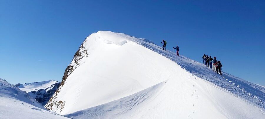 Snowshoe tour Ifen/Gottesacker Allgäu Kleinwalsertal - Key points you should know before you go