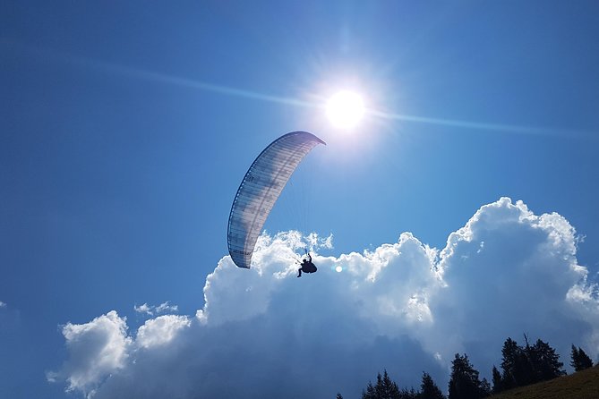 Tandem paragliding in the Stubai Valley near Innsbruck - Private tandem: what “just your group” changes