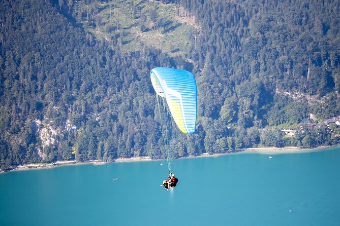 Tandem Paragliding St. Gilgen - Wolfgangsee - From Takeoff to the Wolfgangsee: What the Flight Actually Feels Like
