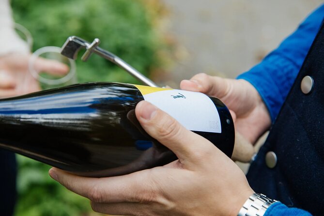 Taste and Tour Small Organic Wineries with a Winemaker - Stop 2 and 3: Two Other Small Organic Wineries and Their Cellars