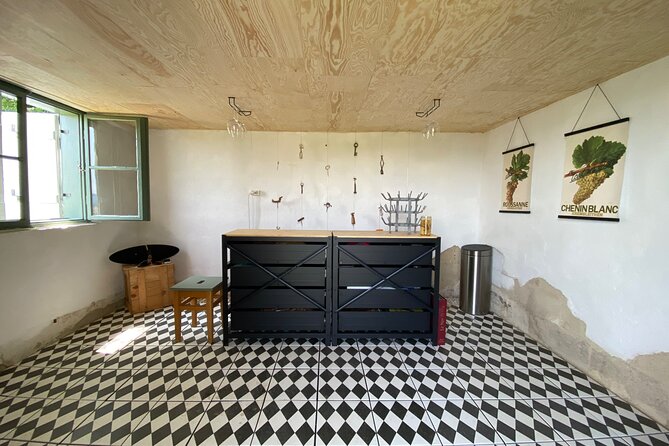 Taste and Tour Small Organic Wineries with a Winemaker - The Vineyard Walk and Valley Views: Where the Day Gets Physical