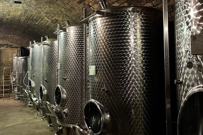 Taste and Tour Small Organic Wineries with a Winemaker - Cheese, Snacks, and How to Taste Without Feeling Rushed