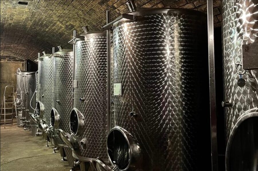 Taste and Tour Small Organic Wineries with a Winemaker - What You Really Learn Here: Vineyard Decisions Meet Cellar Reality