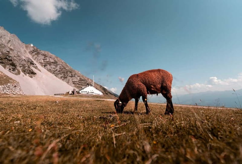 Top of Innsbruck: Roundtrip Cable Car Ticket - Key highlights I’d plan around