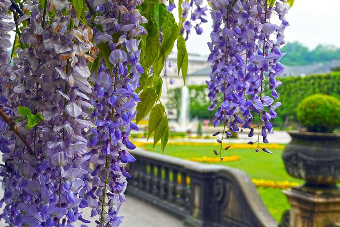 Transfer from Vienna to Salzburg with 2 hours for sightseeing - Why this private Vienna to Salzburg transfer feels easier than public transit