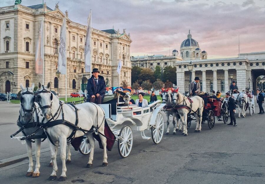 Vienna: 30-Minute Fiaker Ride in the Old Town - Key things I’d watch for before you go