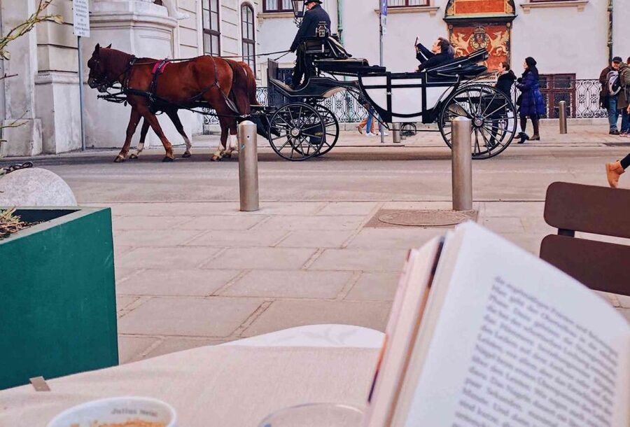 Vienna: 30-Minute Fiaker Ride in the Old Town - Hofburg and the Habsburg government core: seeing power from the seat of a carriage