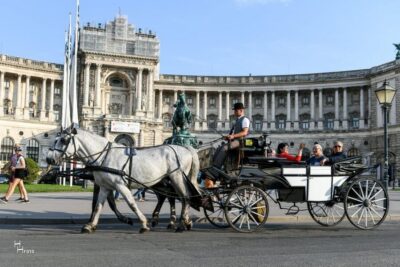 30-Minute Fiaker Ride in the Old Town