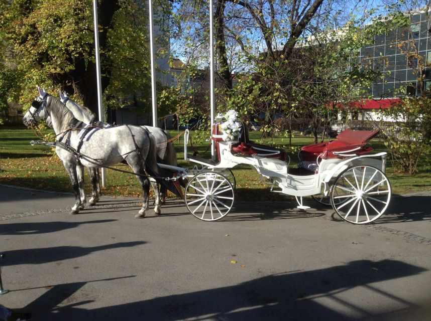 Vienna: 30-Minute Fiaker Ride in the Old Town - Price and value: $111 per group up to 4 for a private carriage loop