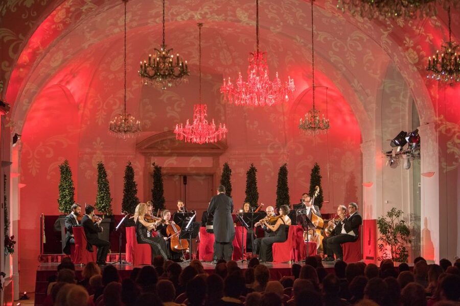 Vienna: After-Hours Schönbrunn Palace Entry & Concert Ticket - What Happens in the 1-Hour Waiting Stretch Before the Concert