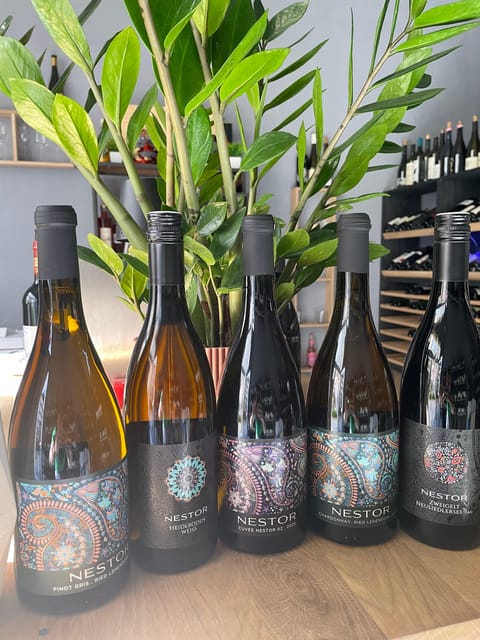Vienna: Austrian Wine Tasting - Rudi’s Teaching Style: Friendly, Focused, and Flexible