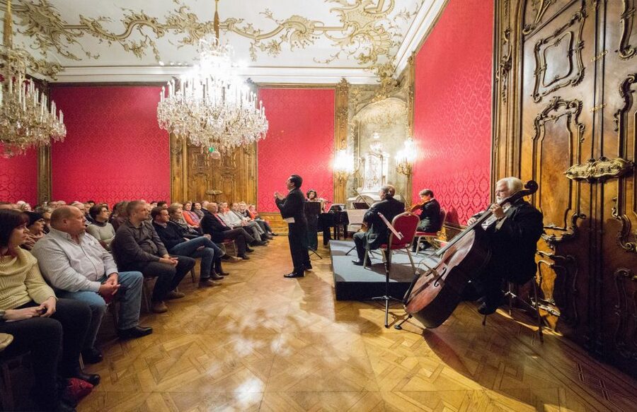 Vienna: Baroque Orchestra Concert and Dinner - Who This Experience Fits Best (and Who Should Think Twice)