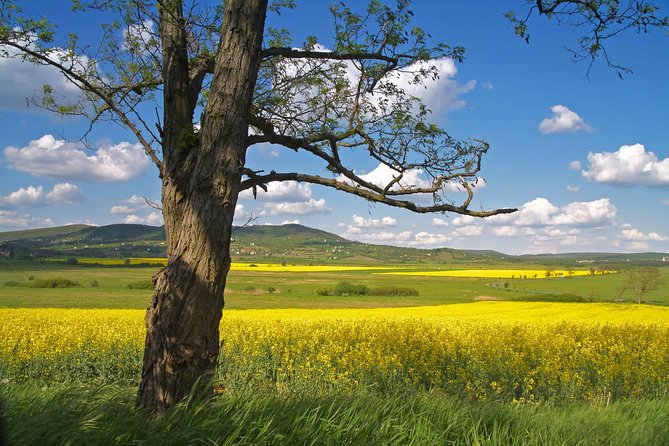 Vienna-Budapest One-Way Sightseeing Transfer - Vienna to Budapest, without losing the day to just sitting