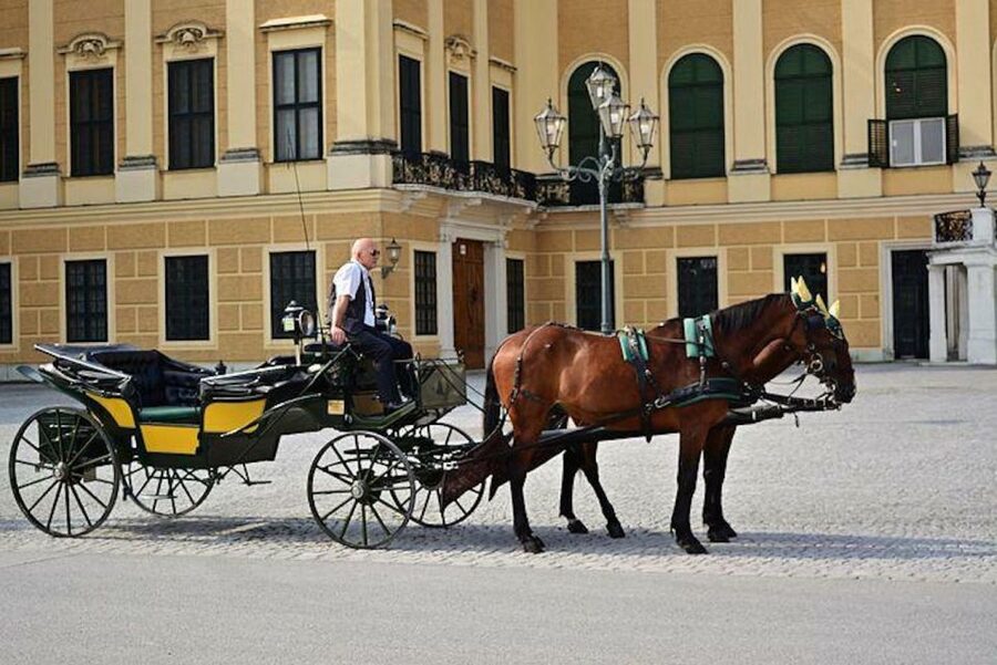 Vienna: Carriage Ride Through Schönbrunn Palace Gardens - Key highlights to look forward to