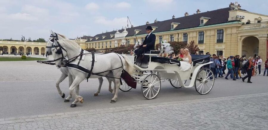 Vienna: Carriage Ride Through Schönbrunn Palace Gardens - Meeting your Fiaker by Schönbrunn Palace, and what the ride covers