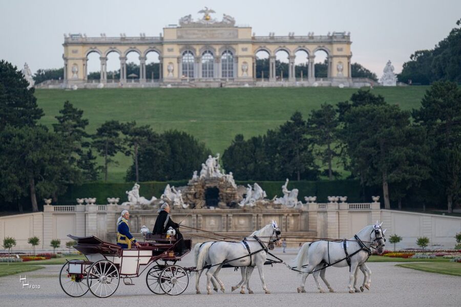Vienna: Carriage Ride Through Schönbrunn Palace Gardens - The Fiaker driver and the Vienna stories you actually get