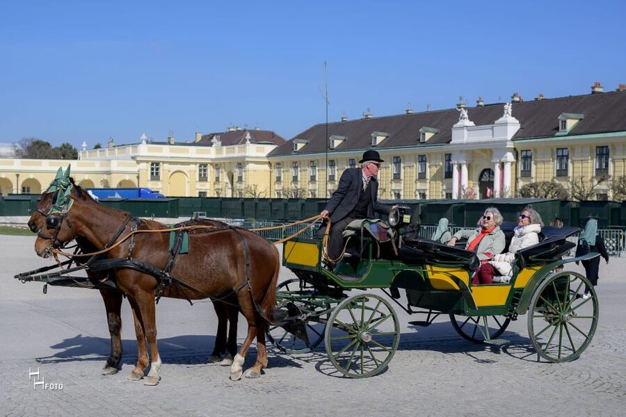 Vienna: Carriage Ride Through Schönbrunn Palace Gardens - How long is enough, and how the 30-minute timing feels